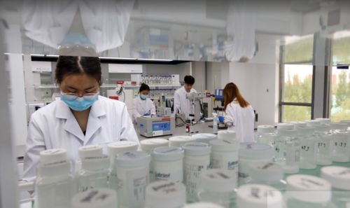 芳香產業迎新風，科技賦能促發展——中國香料香精化妝品工業協會赴昌調研助推化妝品研發創新